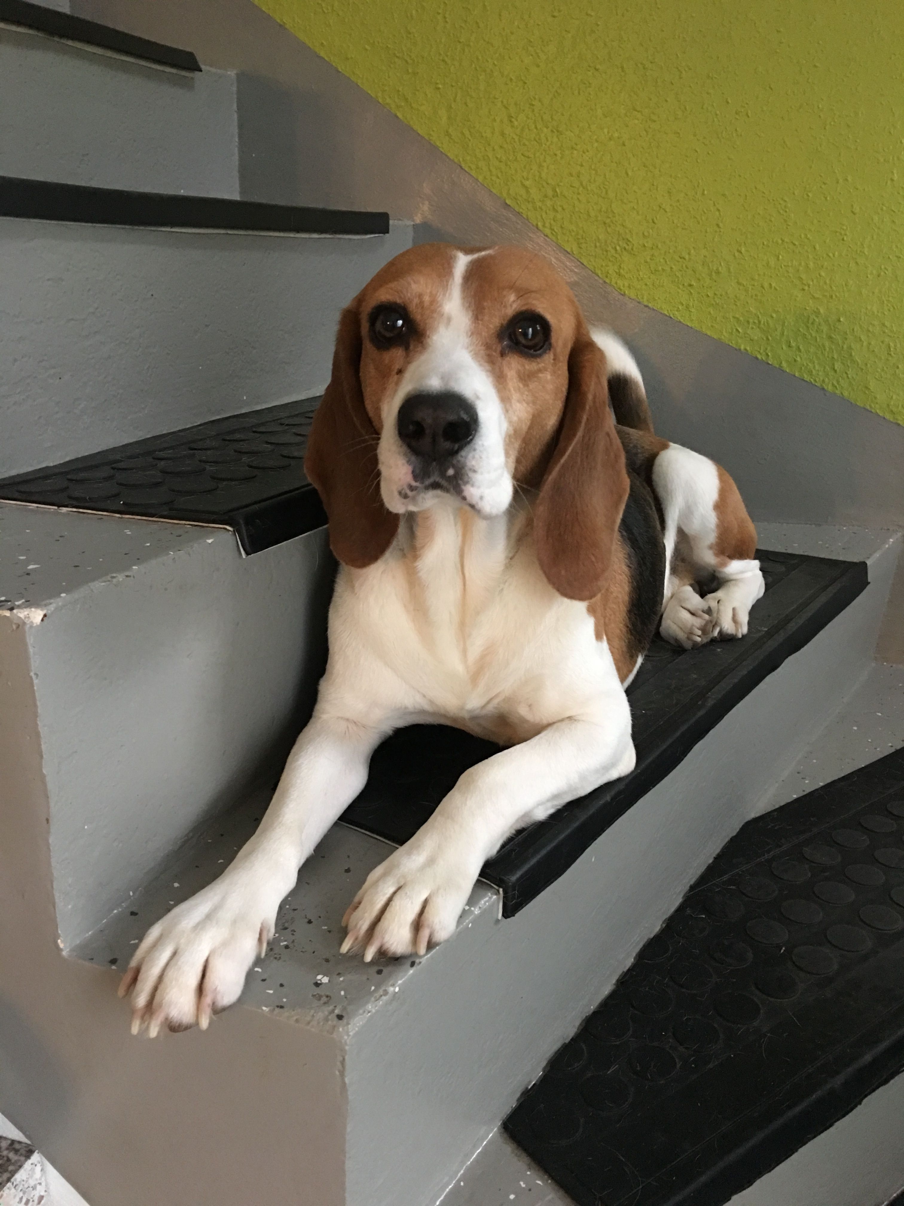 Hundepension am Kappesberg Über uns / Das Team